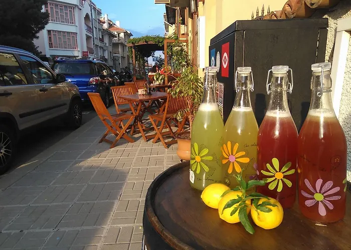 Hotell Albatros New Town 3*