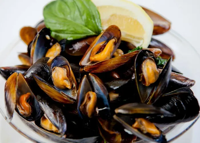 Albatros New Town 3* Созополь